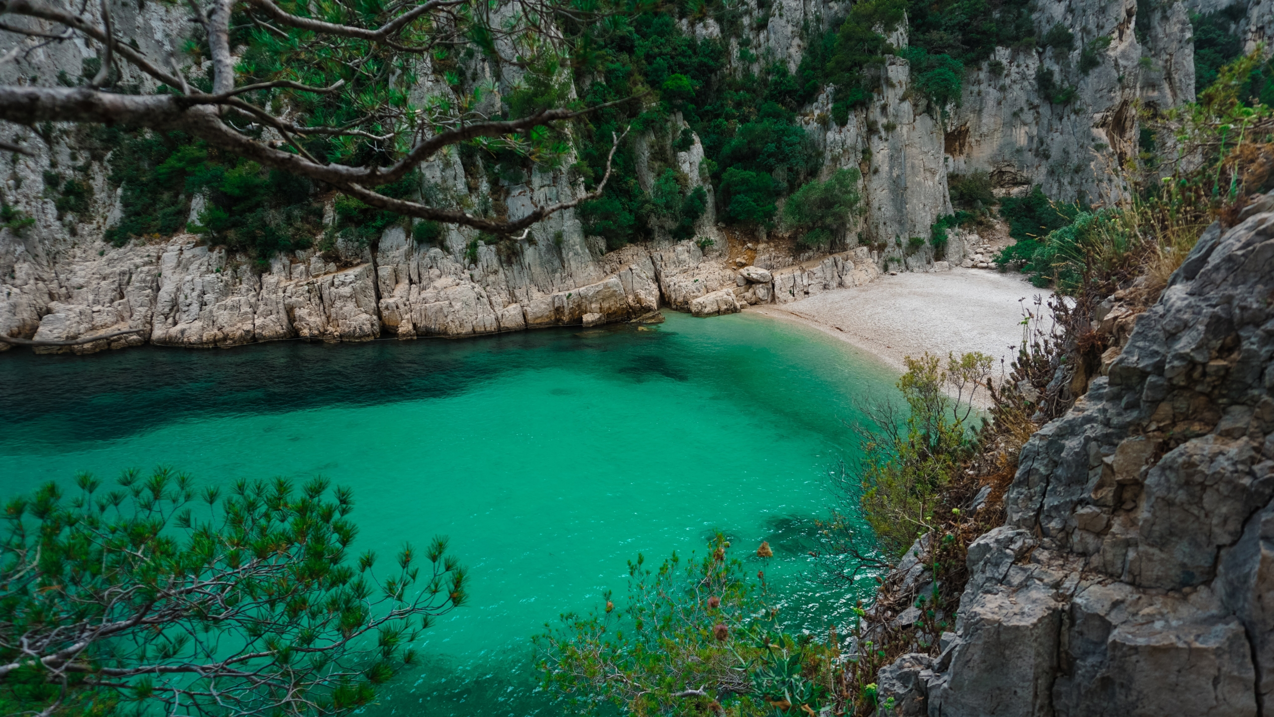 VIew of a secluded bay with green water in Cassis, South of France
