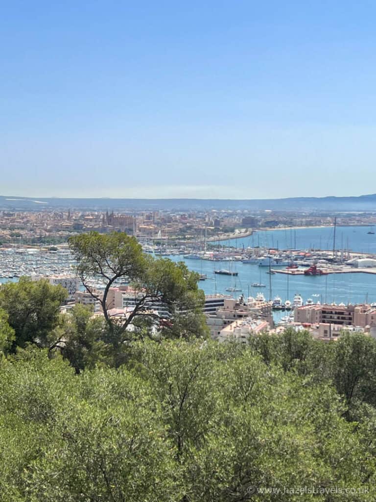 View of a marina with numerous boats and a city in the background, seen from a hillside covered with green trees under a clear blue sky