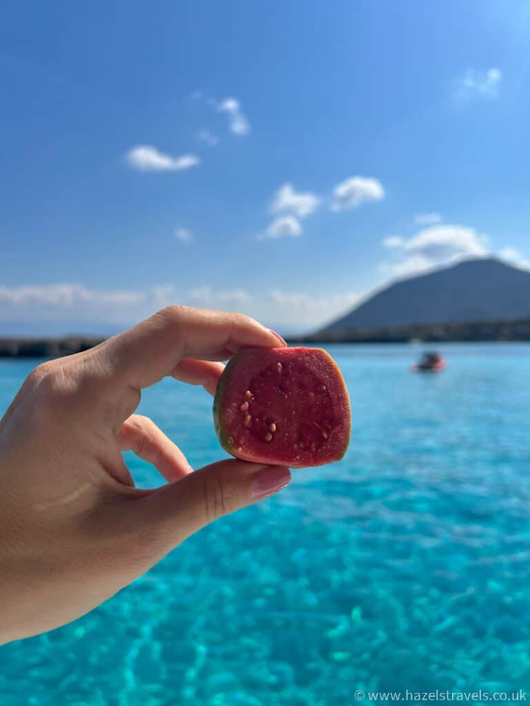 A hand holds a halved fruit against the striking backdrop of Paphos, where clear blue water meets a distant mountain—a perfect glimpse into the things to do in this beautiful locale.