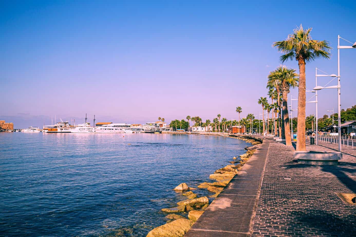 Palm trees on the promenade of the famous resort of Paphos on the Mediterranean coast.