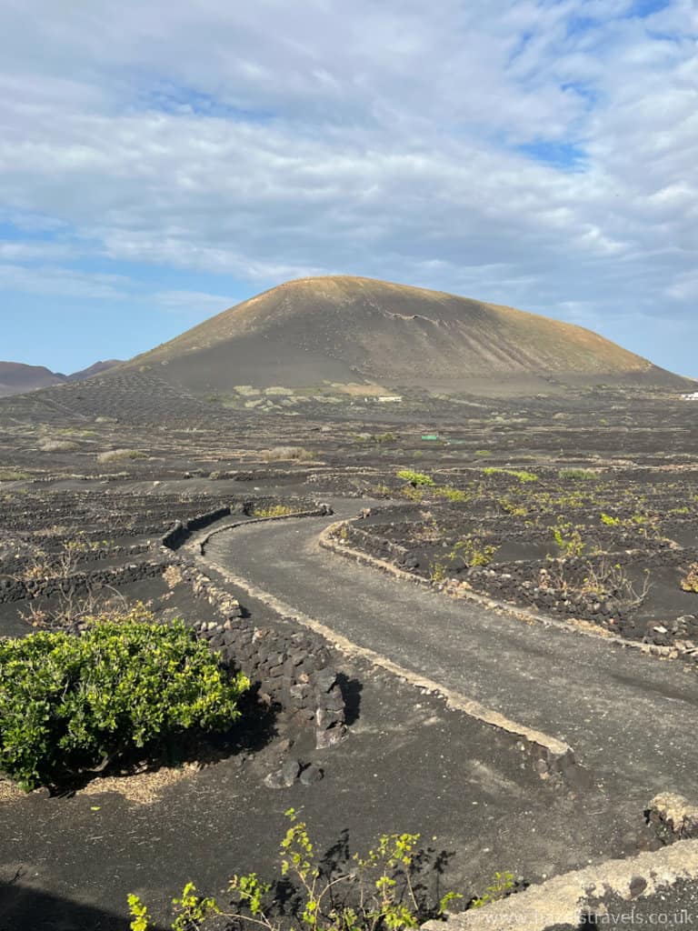 Grey mountain in a volcanic landscape with a winding road, some sparse green foliage