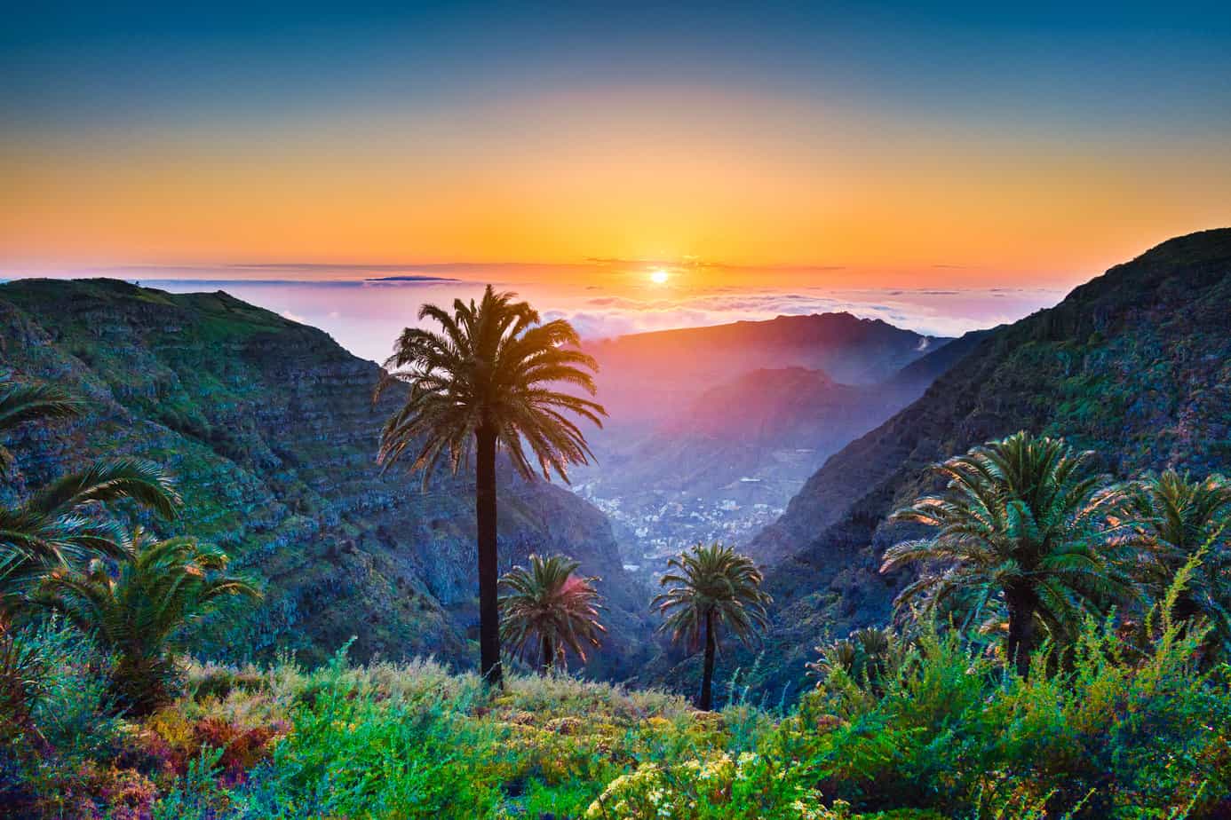 Which Canary Island is best for your trip? A guide to all 8 Islands in 2024