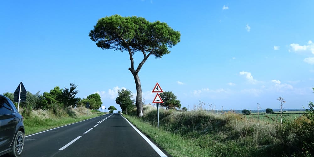 a car driving down a road next to a tree near Salento on a Puglia road trip.
