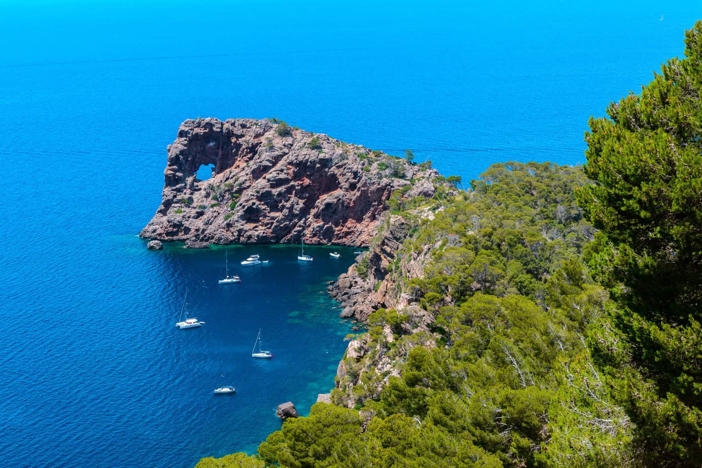 The rocky coast of Sa Foradada Cape juts into the sea with a stunning natural arch, surrounded by clear blue water. Sailboats are anchored nearby, their masts swaying gently in the breeze, while the foreground is lined with lush trees.