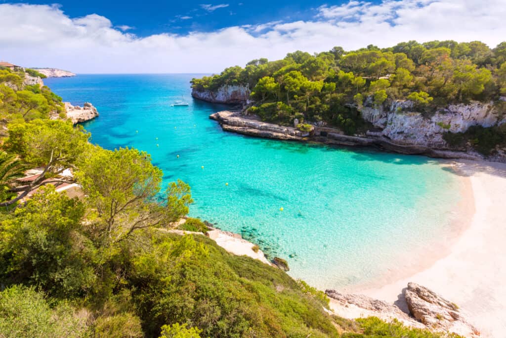 A beach with trees and blue water in Mallorca.