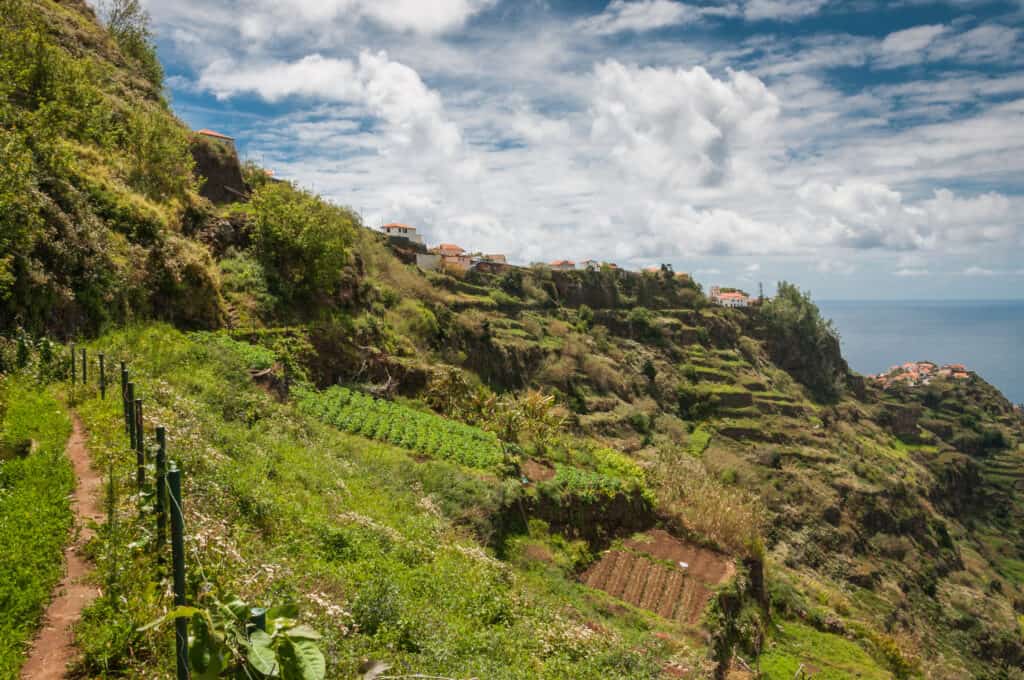 A cliffside path overlooking the ocean in Madeira.