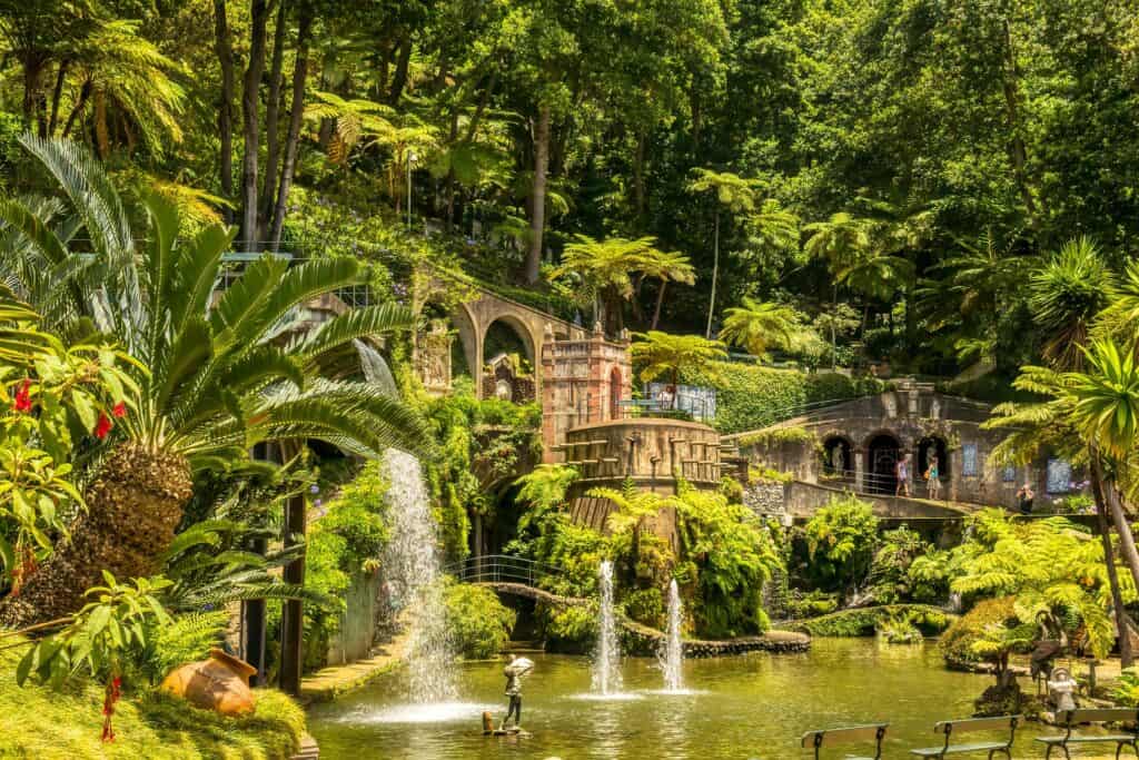 A pond with a waterfall in the middle of a lush tropical garden.