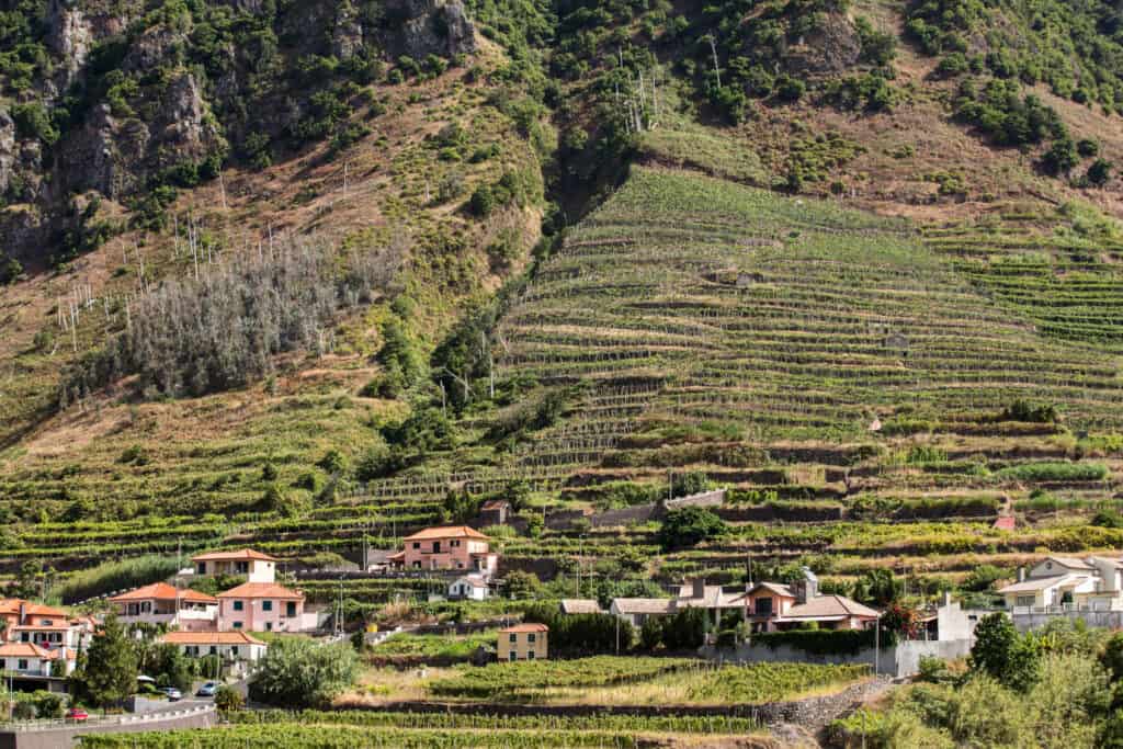 A mountainside with houses and vineyards in the background.