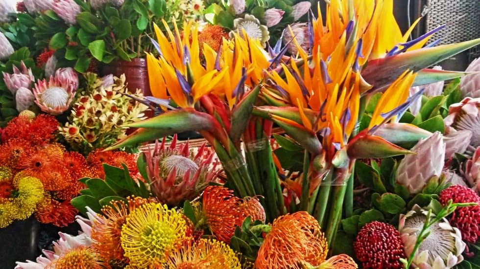 A bunch of colorful flowers in a vase at Mercado dos Lavradores Funchal, Madeira.
