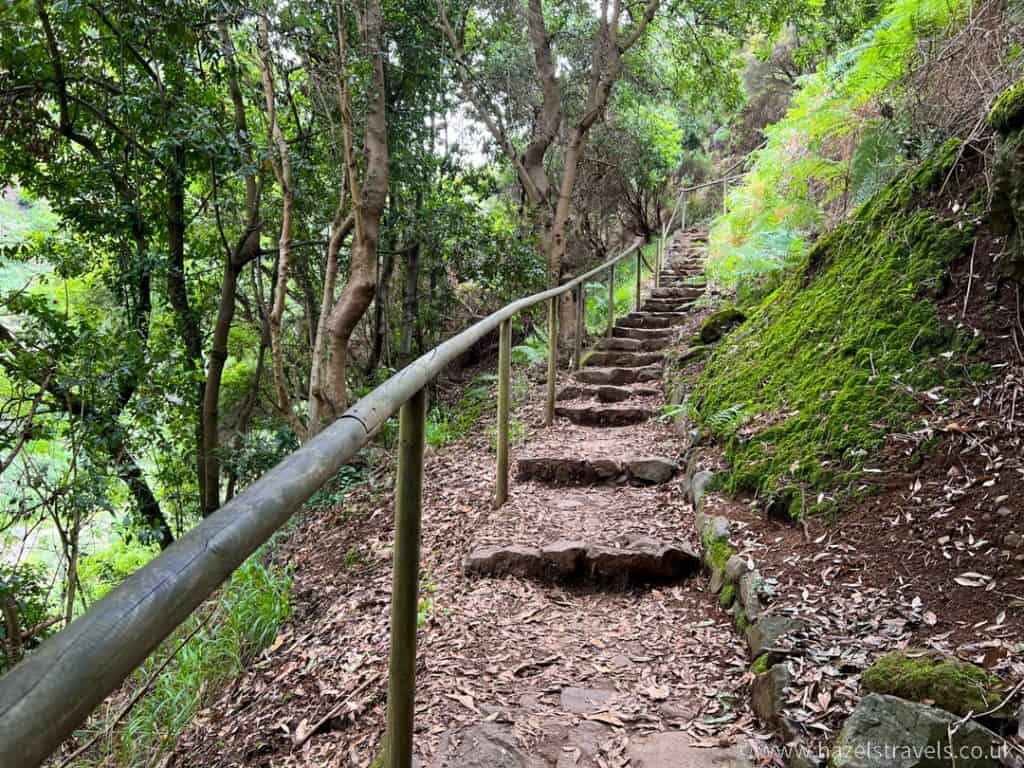 A set of stairs leading up to a lush green forest.