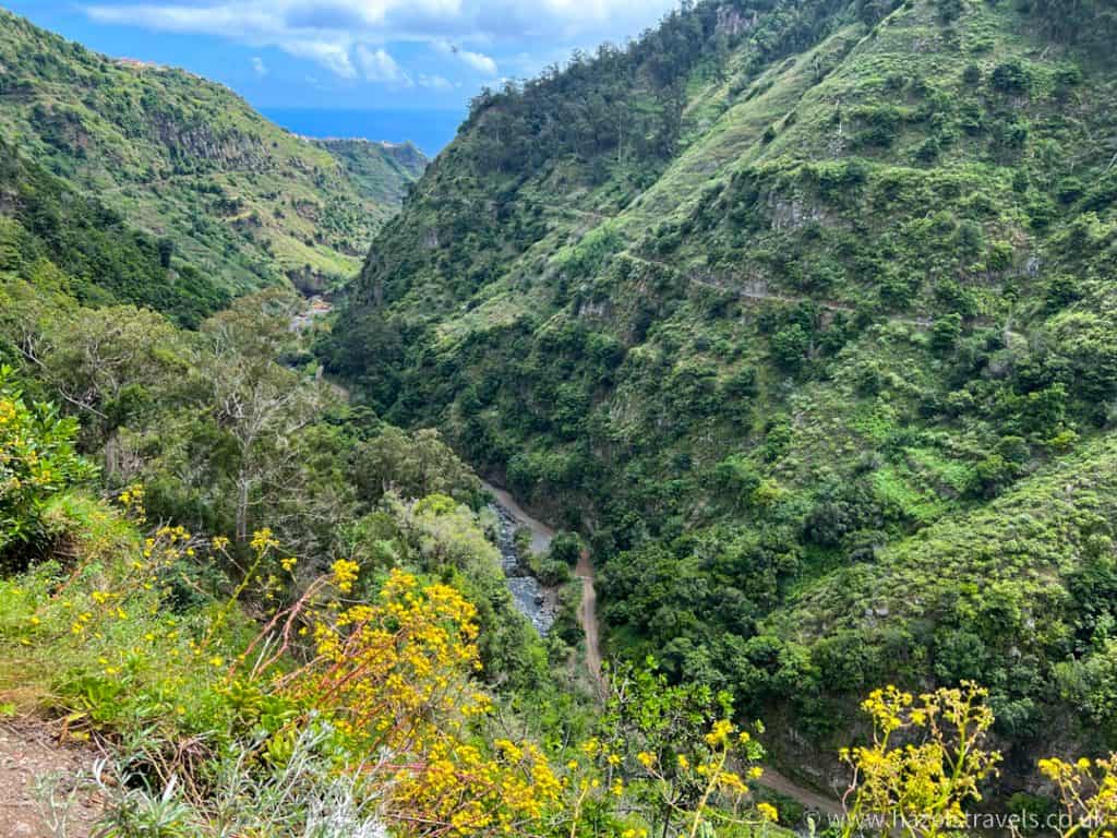A view of a valley with yellow flowers and a view of the ocean from levada do moinho, Madeira