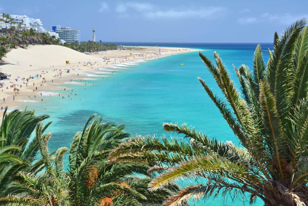 A beach in Fuerteventura with turquoise water, lined with palm trees. People are scattered along the sandy shoreline, with buildings and a lighthouse visible in the background. The sky is clear and blue.