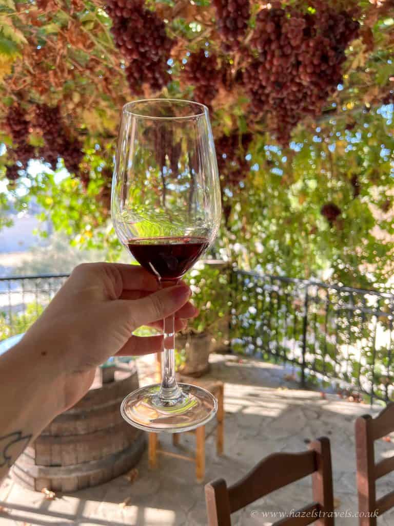 A hand holds a glass of red wine aloft under a canopy of hanging grapes on a sunny patio with wooden barrels and chairs in the background.