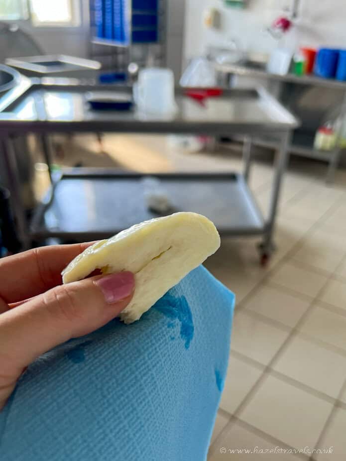 A hand holding a piece of white cheese with a blue napkin in a tiled kitchen or dairy processing room. Stainless steel tables and equipment are visible in the background.